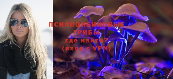 гашик Заволжье