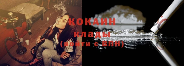 PSILOCYBIN Заводоуковск