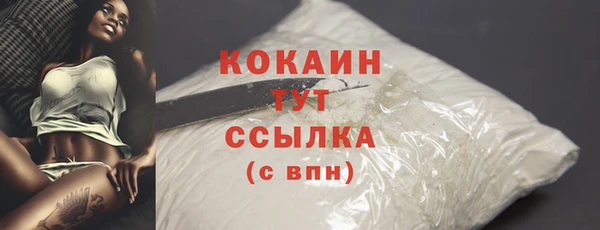 гашик Заволжье