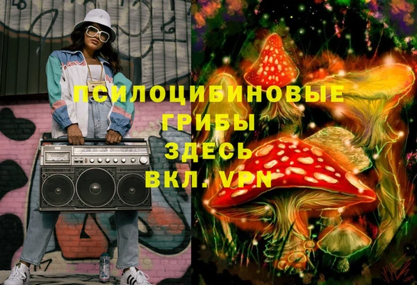 PSILOCYBIN Заводоуковск