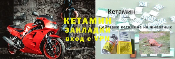 PSILOCYBIN Заводоуковск