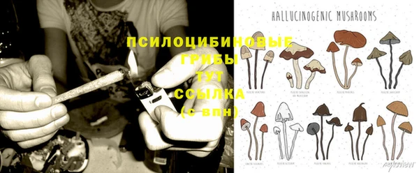 гашик Заволжье