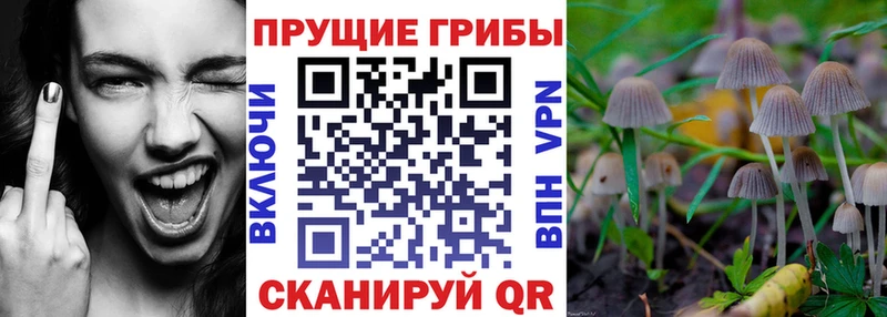Псилоцибиновые грибы мухоморы  Купить где  Ступино 